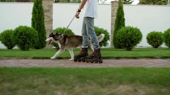 Man in White Tshirt and Jeans Rollerblading Wiht Husky Dog Through Alley in Slowmotion