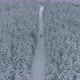Aerial View of Car Driving Through Forest a Frozen Snowy Winter Wonderland - VideoHive Item for Sale