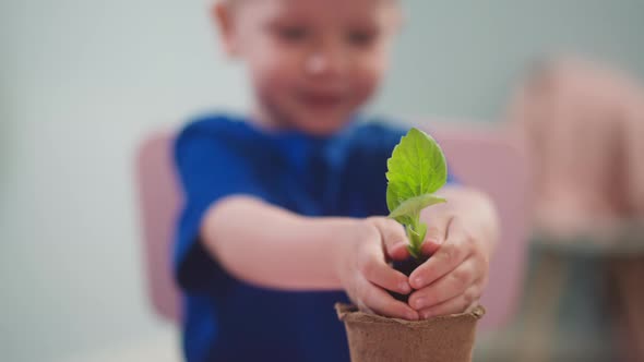 Happy Toddler Boy Puts Seedling Into Paper Pot at Home