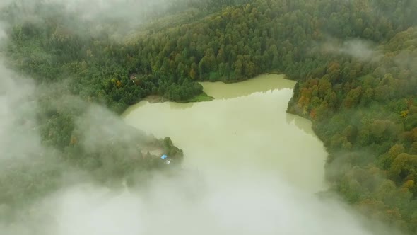 Lake Forest Fog