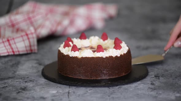 Delicious homemade chocolate cheesecake with raspberries and whipped cream.