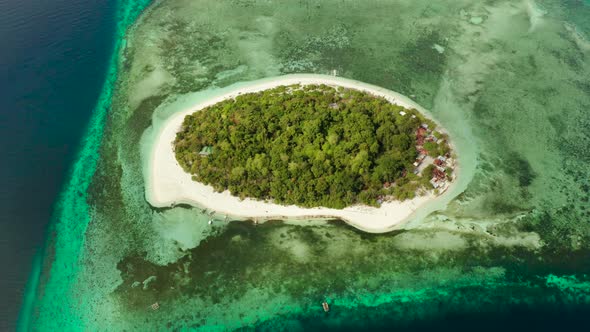 Tropical Island with Sandy Beach