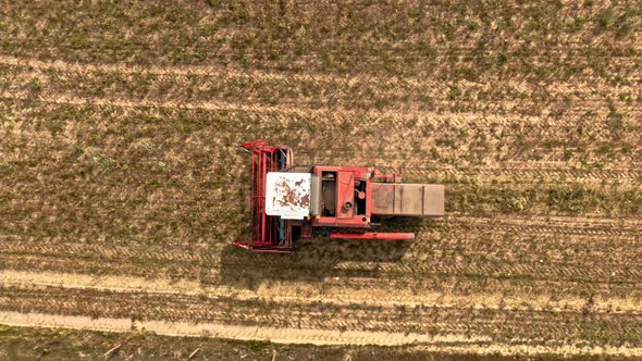 Aerial view of combine harvesting field in summer