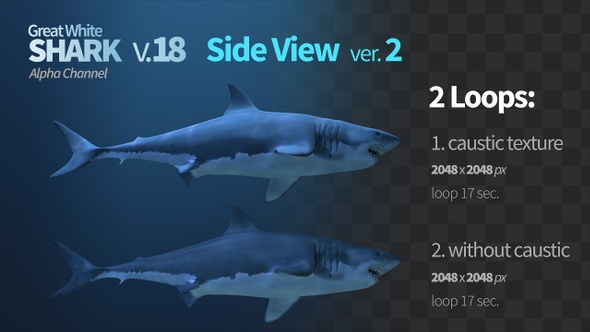 Shark 18 Side View