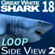 Shark 18 Side View - VideoHive Item for Sale