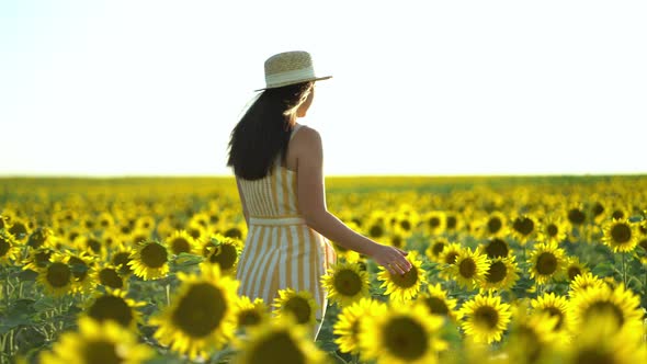 Young Woman in Dress Strolling Through Field with Sunflowers at Sunset