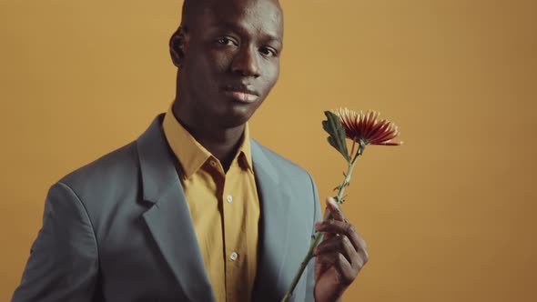 Elegant African American Man Portrait