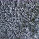 Overhead Aerial Top View Moving Over Alpine Mountain Snow Covered Pine Forest Woods - VideoHive Item for Sale