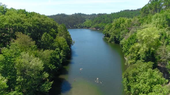 Epic nature Forest river landscape