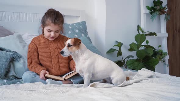 Girl in a Knitted Sweater Sits in a Cozy Bedroom Reading a Book with Her Beloved Little Dog Jack