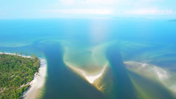 Aerial view of a mangrove forest at a tropical estuary