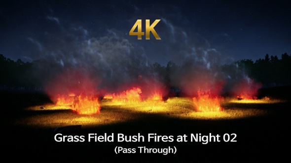 Grass Field Bush Fire at Night 02 (Pass Through)