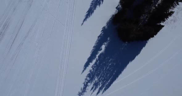 A Topdown Shot Over the Snowy Pine Forest and the Shadows From the Trees