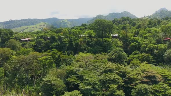 Aerial ascending view over bangalows in forest, São Tomé Island