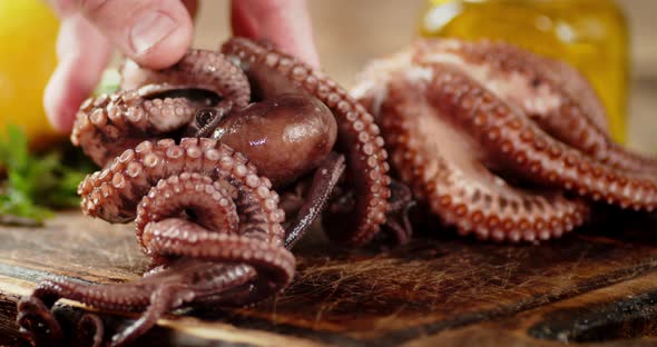 On the Cutting Board Boiled Octopus.