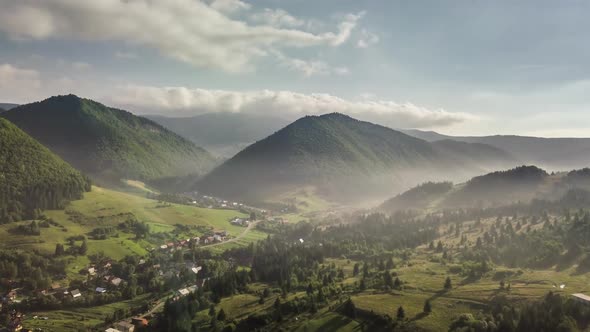 Morning Flight above Green Rural Landscape