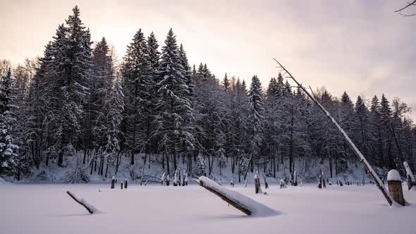 Beautiful Winter Landscape Movement of the Camera to the Left Over the Lake