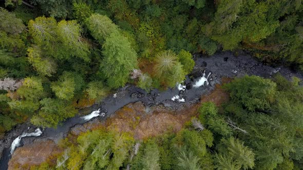 Aerial ascending overhead shot of river flowing through the forest in a remote area.