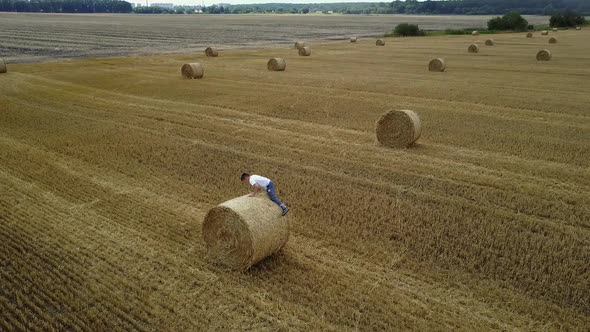 Happy Child In Field. Adorable kid boy spending time in a field with straw