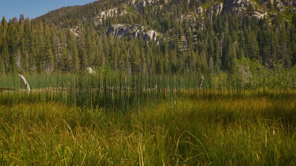 Sotcher Lake in the Ansel Adams Wilderness in California USA 