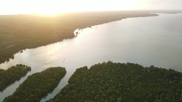 Coast of Zanzibar Island Tanzania Covered with Thickets