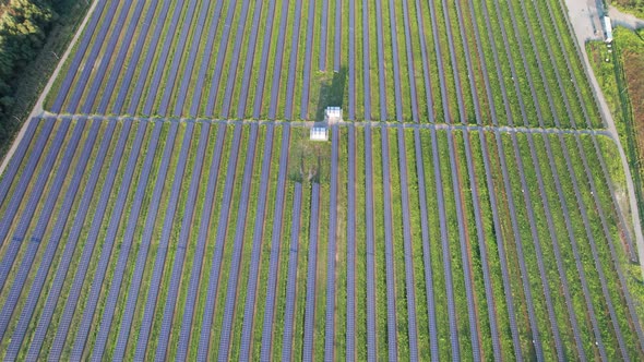 Aerial View Solar Power Station on Green Field at Sunset Solar Panels in Row