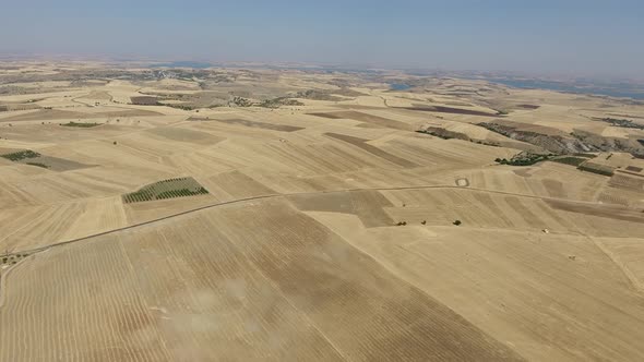 hasat tarlarlarının üzerinden drone ile uçuş