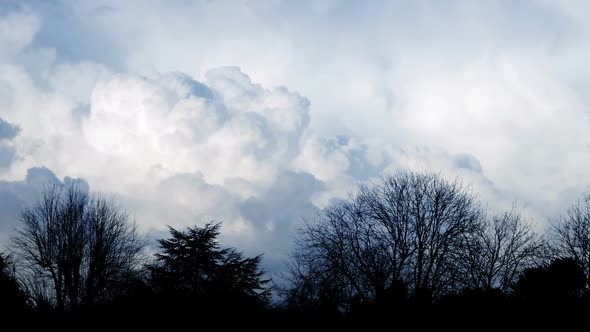 Huge Fluffy Clouds Behind Trees Timelapse