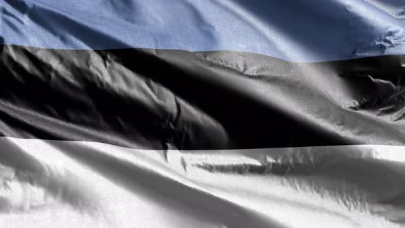 Estonia textile flag waving on the wind. Slow motion. 20 seconds loop.