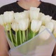 Spring Concept. Woman i Holding White Bouquet of Flowers in a White Background.  - VideoHive Item for Sale