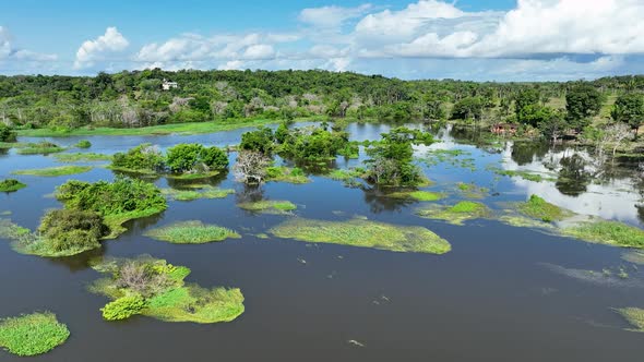 Stunning landscape of Amazon Forest at Amazonas State Brazil.