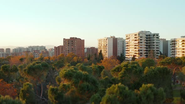 Rising Footage of Trees in Park at Housing Estate