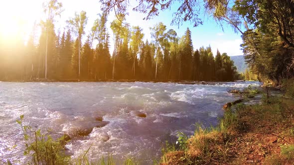 Meadow at Mountain River Bank. Landscape with Green Grass, Pine Trees and Sun Rays. Movement on