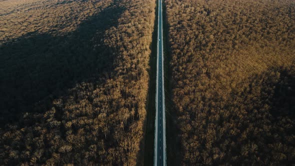 Aerial View of Cars Traveling Middle of the Forest on the Road