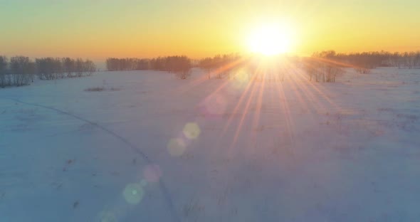 Aerial Drone View of Cold Winter Landscape with Arctic Field Trees Covered with Frost Snow and