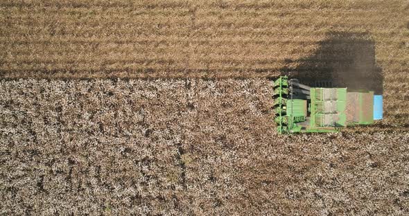 Aerial view of combine picking cotton, Kibbutz Saar, Mate Asher, Israel.