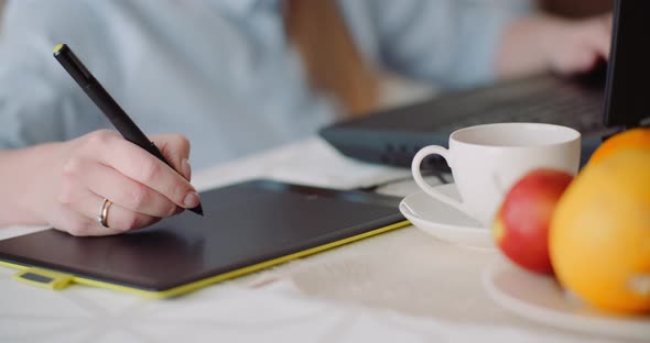 Businesswoman Home Office Working From Remote Location.