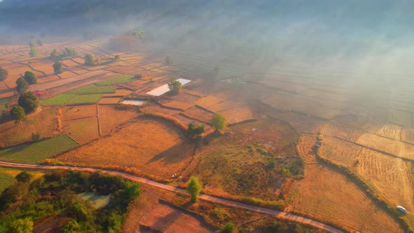 Aerial view from a drone over misty landscape on farmland. 4K