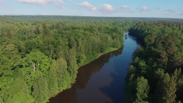Landscape of Green Nature - the River Stretches Between the Green Coniferous Forest