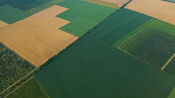 Top View Aerial View of Agricultural Fields
