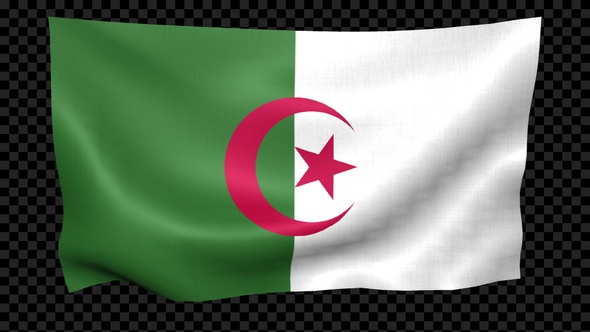 Algeria Flag Waving Looped