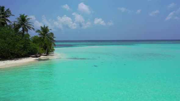 Aerial above sky of paradise resort beach wildlife by clear ocean and white sand background of a day