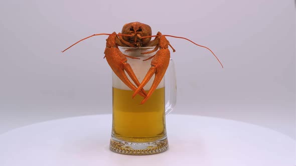 Beer with crayfish