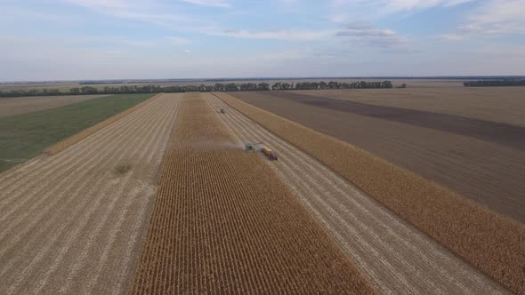 Combine Harvester And Tractor In A Cornfield Harvesting