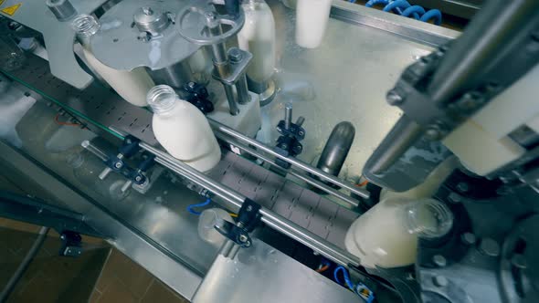 Caps Are Put on Bottles. Bottles with Milk Are Being Transported By the Conveyor