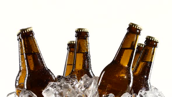 Drunk Beer in Dark Bottles Stands in the Ice. White Background. Close Up