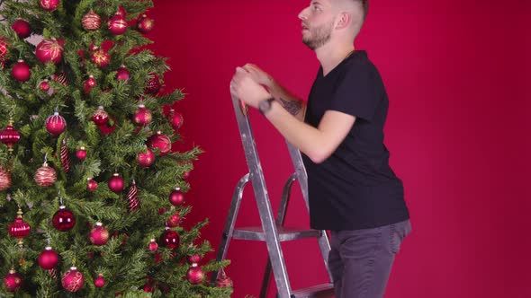 Young Gay Couple Decorating Christmas Tree Together Using Ladder, LGBT New Year