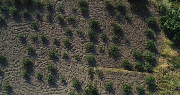Aerial View of Country Fields in Sicily Rural Scene During Sunset