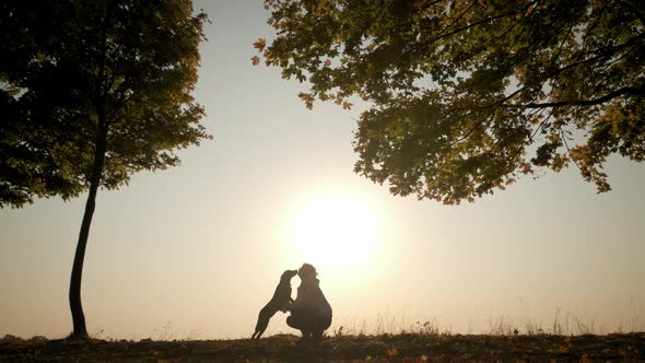 Against the Background of the Orange Sunset Sky Silhouettes of Woman Training and Playing with Her