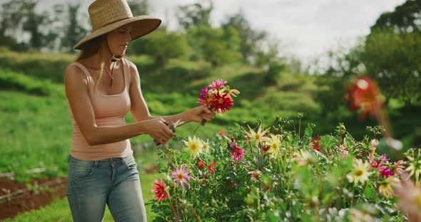 Young woman picking colorful flowers alt
